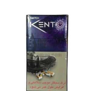 Kent Switch Touch Blueberry Yabanmersini Aromalı Sigara