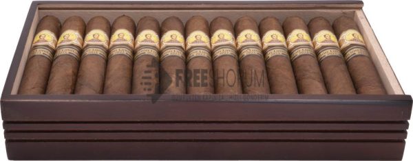 Bolivar Regentes Puro 10's